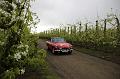 MG Bloesemrit op 24-4-2016 org. Jos&Marie-lou  (77)